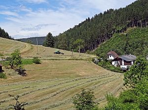 Heibet Heuernte Tennenbronn