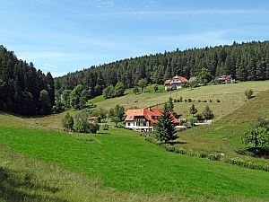 Heibet Heuernte Tennenbronn