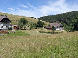 Heibet Heuernte Tennenbronn