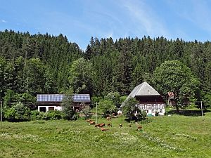 Heibet Heuernte Tennenbronn