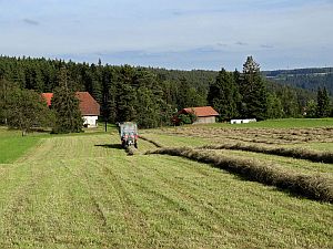Heibet Heuernte Tennenbronn
