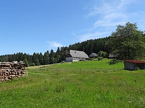 Heibet Heuernte Tennenbronn
