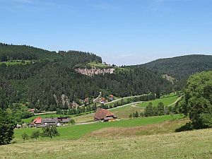 Heibet Heuernte Tennenbronn