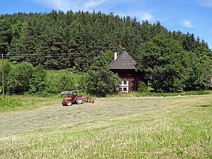 Heibet Heuernte Tennenbronn