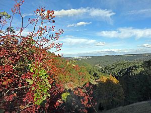 Herbst 2016 in Tennenbronn