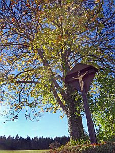 Herbst 2016 in Tennenbronn