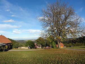 Herbst 2016 in Tennenbronn