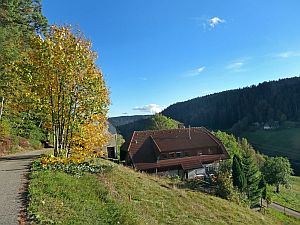 Herbst 2016 in Tennenbronn