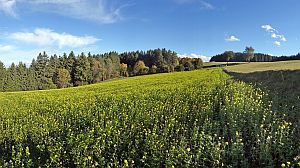 Herbst 2016 in Tennenbronn