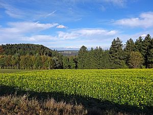 Herbst 2016 in Tennenbronn