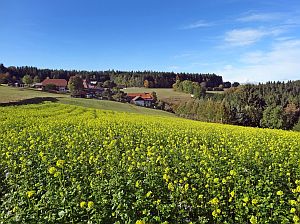 Herbst 2016 in Tennenbronn