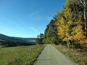 Herbst in Tennenbronn