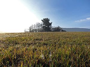 Herbst in Tennenbronn