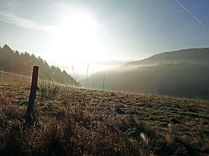Herbst in Tennenbronn