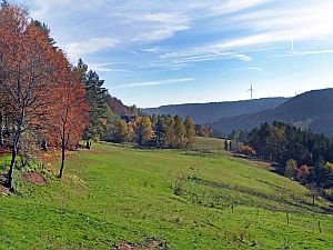 Herbst in Tennenbronn