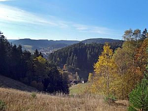 Herbst in Tennenbronn