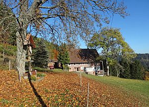 Herbst in Tennenbronn