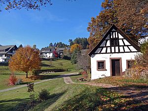Herbst in Tennenbronn