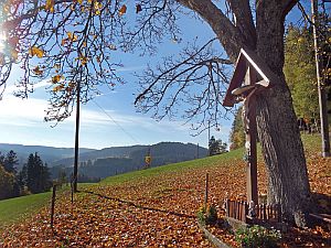Herbst in Tennenbronn