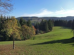 Herbst in Tennenbronn