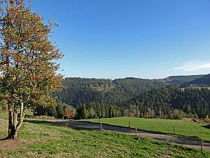 Herbst in Tennenbronn