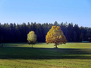 Herbst in Tennenbronn