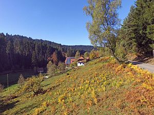 Herbst in Tennenbronn