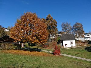 Herbst in Tennenbronn