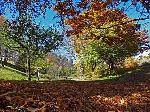 Herbst in Tennenbronn