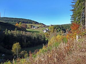 Herbst in Tennenbronn