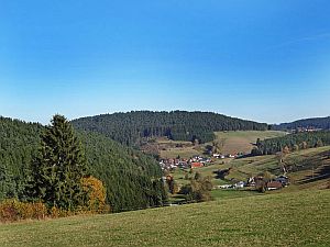Herbst in Tennenbronn