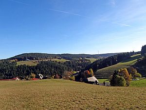 Herbst in Tennenbronn