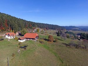 Herbst aus der Luft Tennenbronn