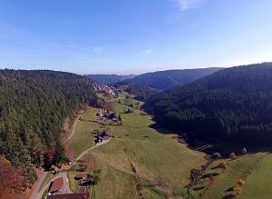Herbst aus der Luft Tennenbronn