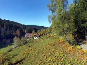 Herbst aus der Luft Tennenbronn