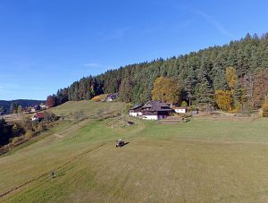 Herbst aus der Luft Tennenbronn