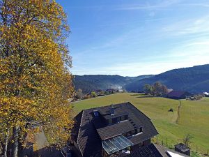 Herbst aus der Luft Tennenbronn