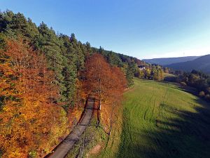 Herbst aus der Luft Tennenbronn