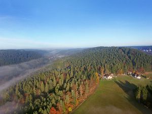 Herbst aus der Luft Tennenbronn