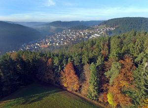 Herbst aus der Luft Tennenbronn