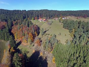 Herbst aus der Luft Tennenbronn