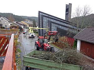Baumfllarbeiten katholische Kirche