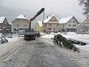 Narrenbaum steht