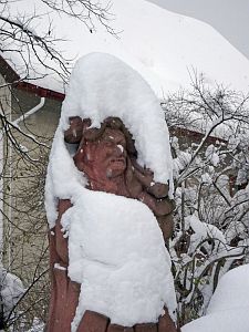 Narrenbaum steht