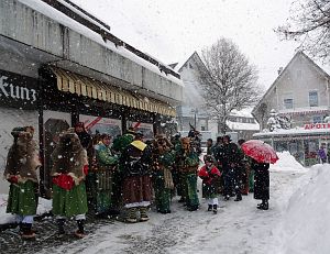 Narrenbaum steht