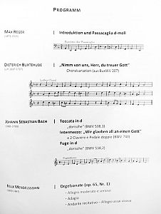 Orgelkonzert Manuel Blessing