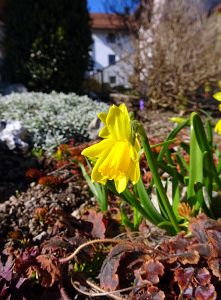 Ostergruss aus Tennenbronn