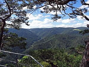 Wanderung Hornberg Schlossfelsen
