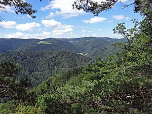 Wanderung Hornberg Schlossfelsen