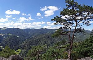 Wanderung Hornberg Schlossfelsen